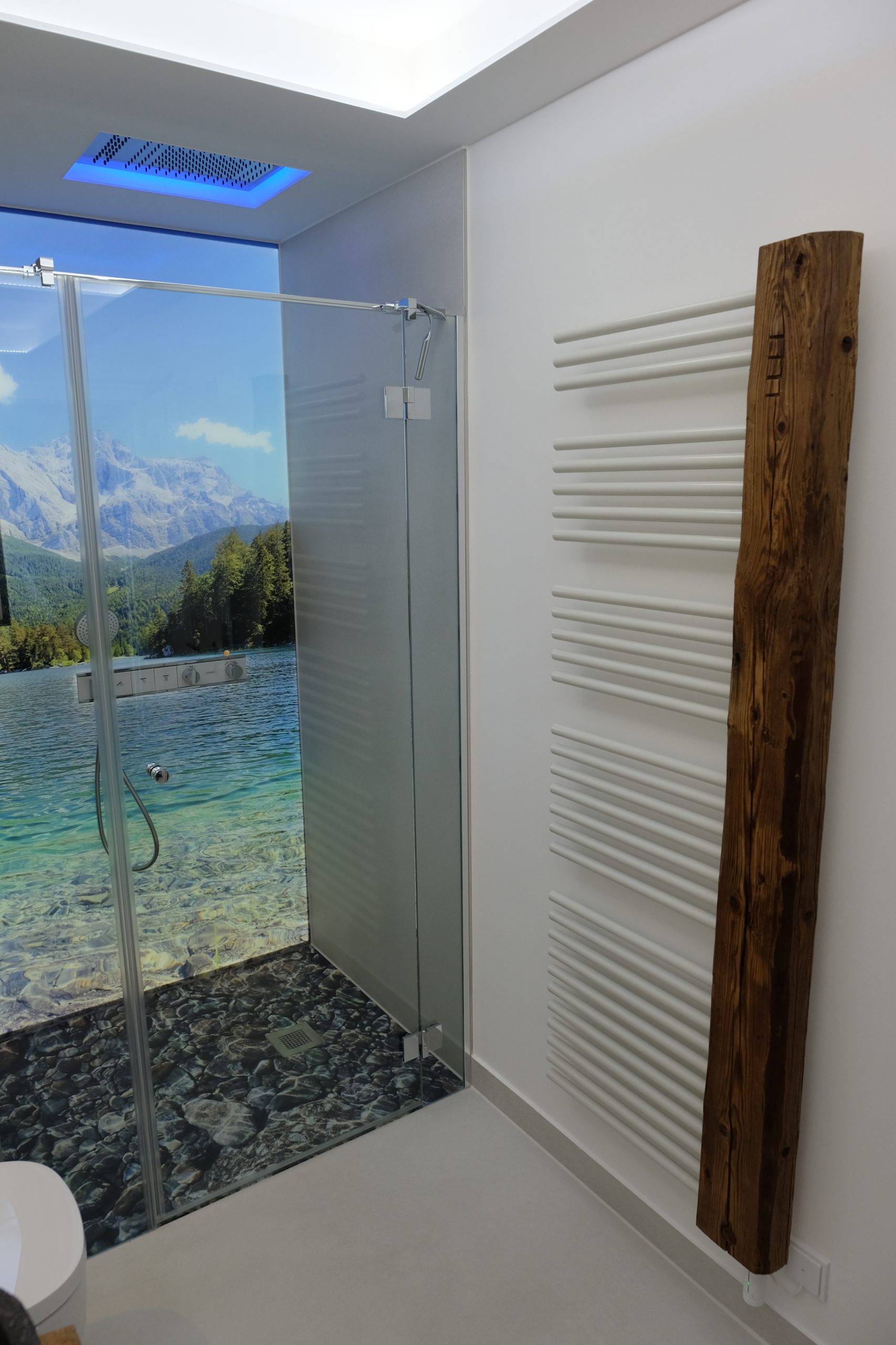 Bad mit Dusche, weißem Heizkörper und Holzblende
